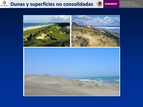 pdf 4.2 Mb - Playas y costas de Ensenada