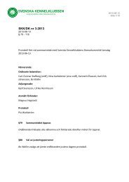 SKK/DK nr 3-2013 - Svenska Kennelklubben