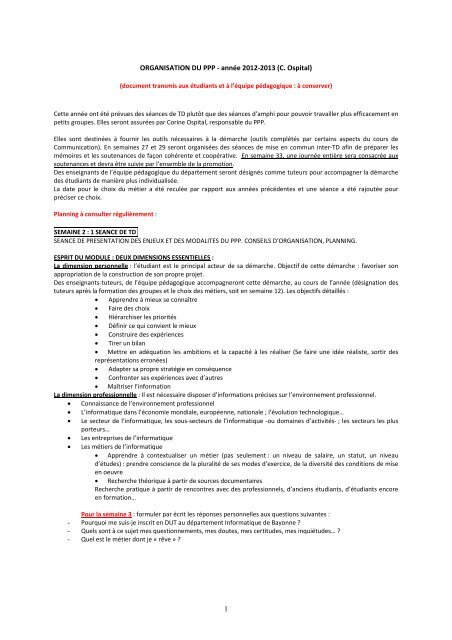 Projet Personnel et Professionnel de l'Etudiant 201213  IUT Bayonne