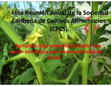 Presentación - CEDAF