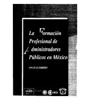 1995 37 La Formacion Profesional de Adm Publicos en Mexico 968-6452-11-7