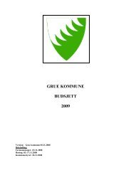 GRUE KOMMUNE BUDSJETT 2009