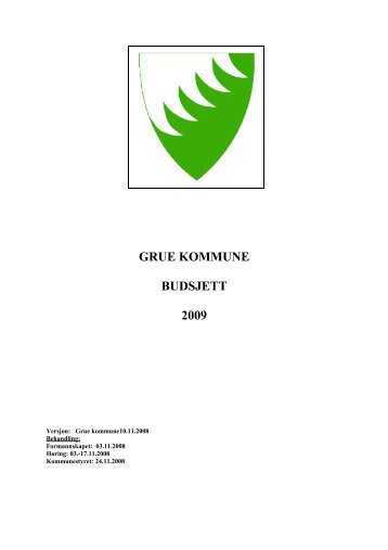 GRUE KOMMUNE BUDSJETT 2009