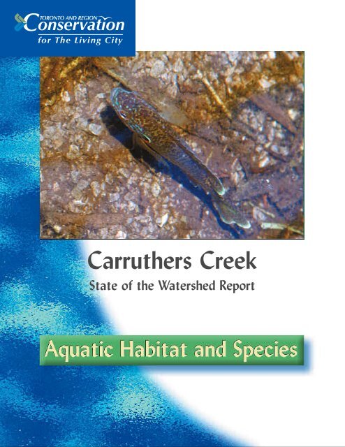 Carruthers Creek - Toronto and Region Conservation Authority
