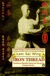 Iron Thread. Southern Shaolin Hung Gar Kung Fu Classics Series ...