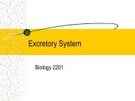 Biology 2201 Chapter 11 Excretion pdf.pdf