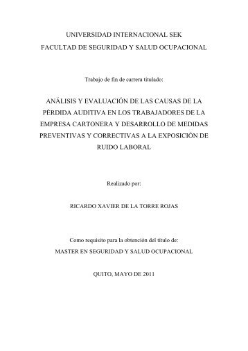 TESIS RUIDO RICARDO DE LA TORRE.pdf