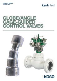 GLOBE/ANGLE CAGE-GUIDED CONTROL VALVES - OME