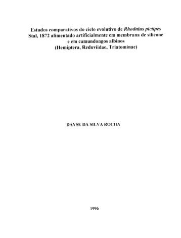 Estudos comparativos do ciclo evolutivo de Rhodnius pictipes Stal ...