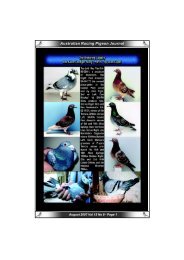Australian Racing Pigeon Journal - pigeon sales