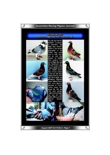 Australian Racing Pigeon Journal - pigeon sales