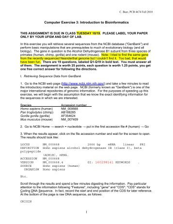 Computer Exercise 3: Introduction to Bioinformatics 1