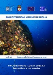 Biocostruzioni Marine in Puglia_04_2012.pdf