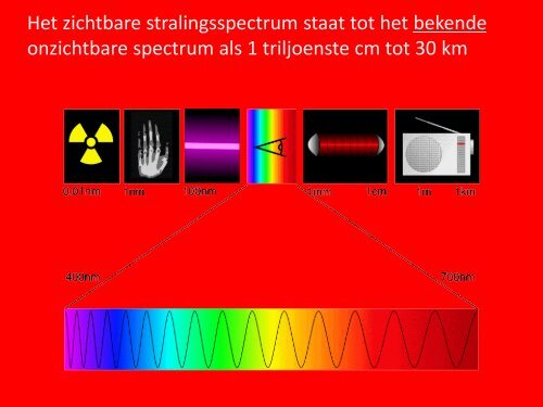 Jan Bommerez.pdf - Avs