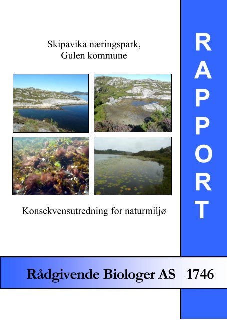 Skipavika nÃ¦ringspark, Gulen kommune. Konsekvensutredning for ...