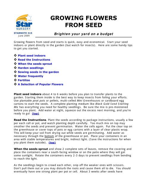 Growing Flowers From Seed Star Nursery