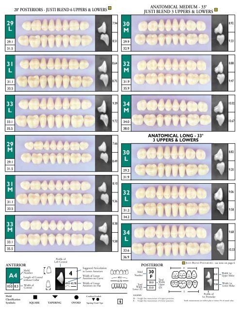 Regal-D-Blend Mold Chart 8x11 - American Tooth Industries