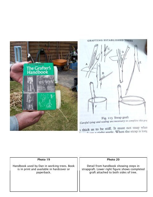 Salvaging Girdled Fruit Trees Dan Elliott, Master Gardener and ...