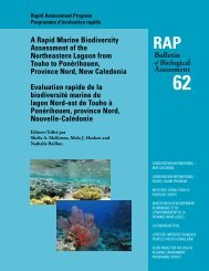 25-39 in McKenna, S. (ed.), Rapid marine biodiversity - Ifrecor