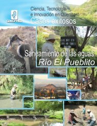 Saneamiento de las aguas RÃ­o El Pueblito - Concyteq