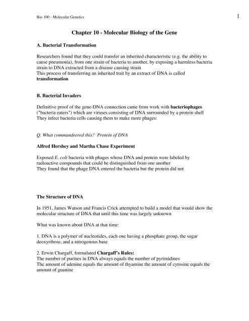 Dna And Protein Synthesis Ch 10 Worksheet Answers Biology Junction
