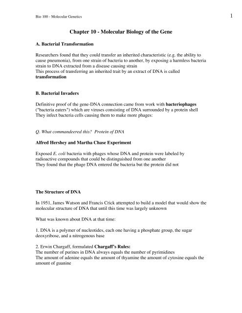 Chapter 10 - Molecular Biology of the Gene