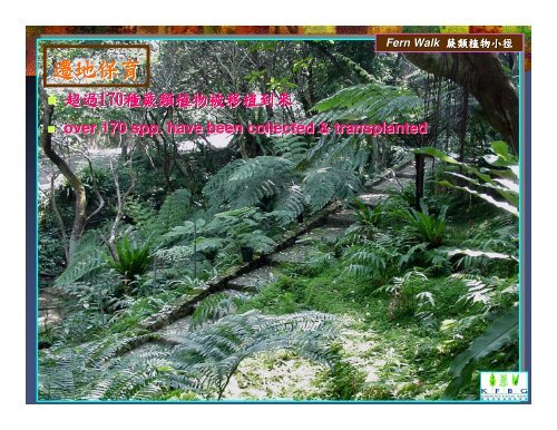 香港蕨類植物及其保育(pdf，4.1MB) - Kadoorie Farm & Botanic Garden