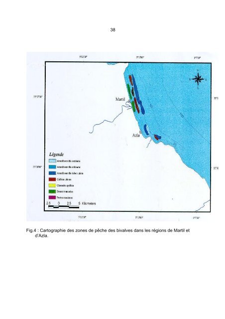 Etude de la pÃªcherie des bivalves sur la cÃ´te ... - Fao - Copemed