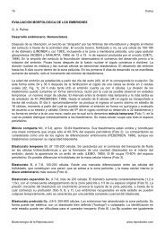 EVALUACION MORFOLOGICA DE LOS EMBRIONES ... - Reprobiotec