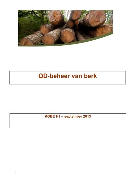 QD-beheer van berk - Publicaties van de Vlaamse overheid