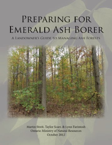 Preparing for Emerald Ash Borer: A Landowner's Guide to Managing ...