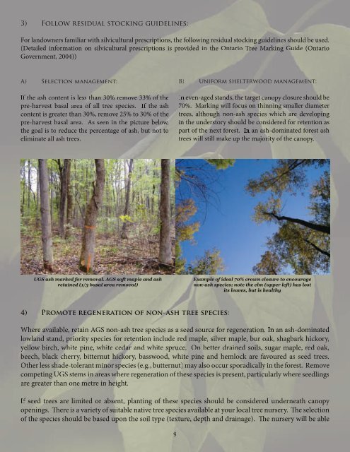 Preparing for Emerald Ash Borer: A Landowner's Guide to Managing ...