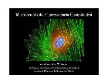 Microscopía de Fluorescencia Cuantitativa - IIB-INTECH