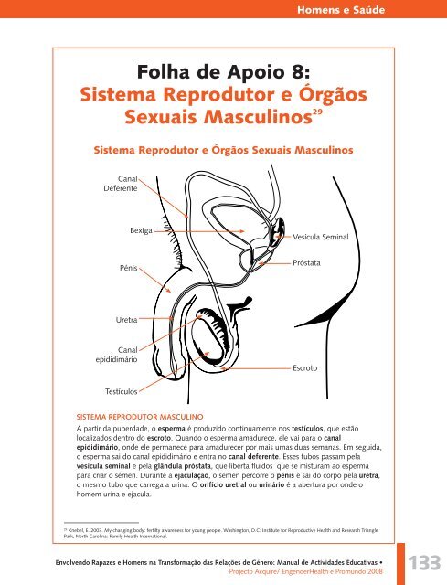 Manual de Actividades Educativas - Promundo