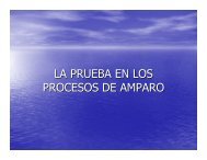 LA PRUEBA EN LOS PROCESOS DE AMPARO