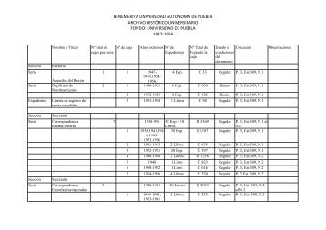 Inventario del Fondo Universidad de Puebla - Archivo HistÃ³rico ...