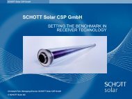 SCHOTT Solar CSP GmbH - Delhi International Renewable Energy ...