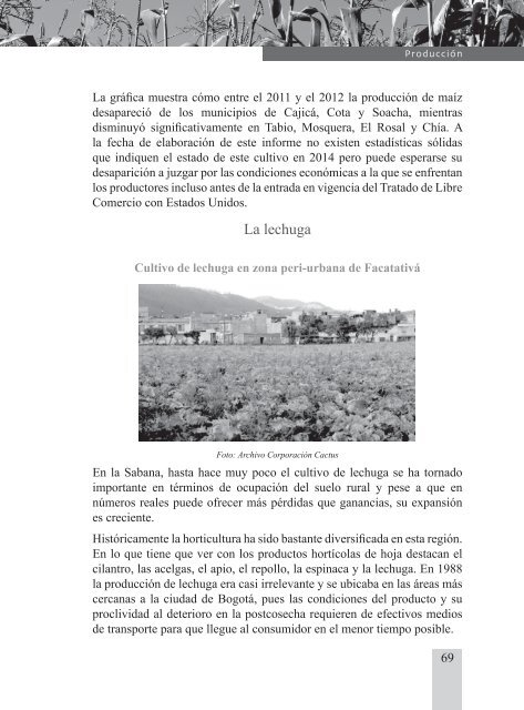 Mas cemento, Menos alimento. Informe digital