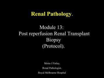 Renal Pathology - RCPA