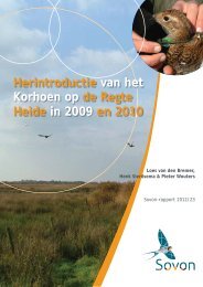 Herintroductie van het Korhoen op de Regte Heide in 2009 en 2010