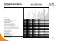 Matrix Kriterien und Produkte - Stand 2009 (pdf) - Biogasregister.de