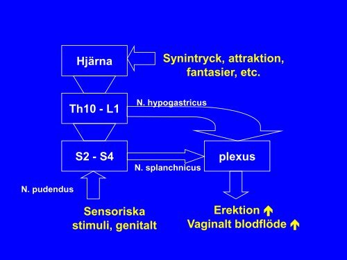 Sexualitet och cancer - SFOG