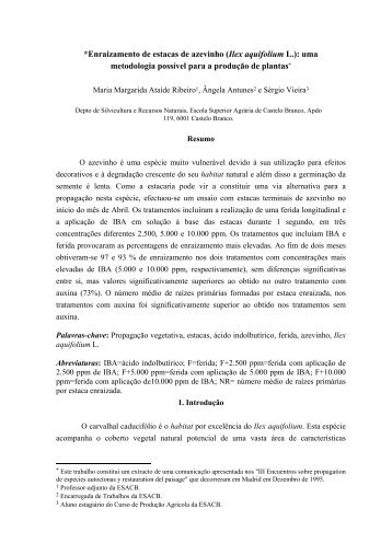 Enraizamento de estacas de Azevinho: uma metodologia possÃ­vel ...