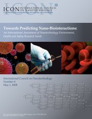 Towards Predicting Nano-Biointeractions - Web Services - Rice ...