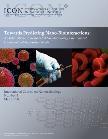 Towards Predicting Nano-Biointeractions - Web Services - Rice ...