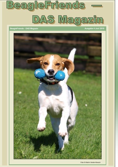 Hundehalsband mit Zugstopp - BeagleFriends - DAS Magazin