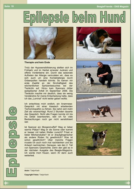 Hundehalsband mit Zugstopp - BeagleFriends - DAS Magazin