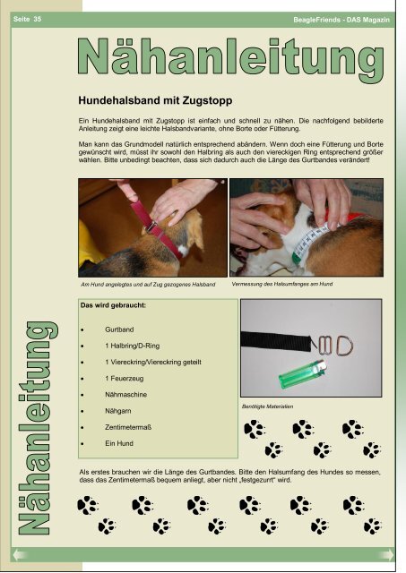 Hundehalsband mit Zugstopp - BeagleFriends - DAS Magazin