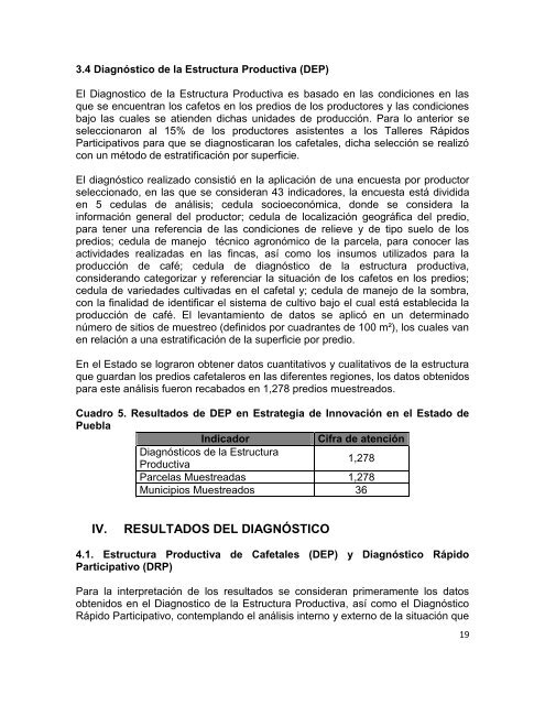 Plan de Innovación Puebla - amecafé