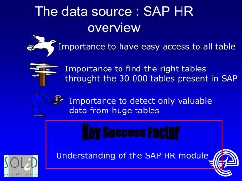 Using SAS solutions on top of the SAP HR module at Electrabel